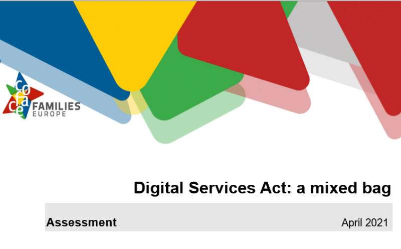 Digital Services Act: a mixed bag