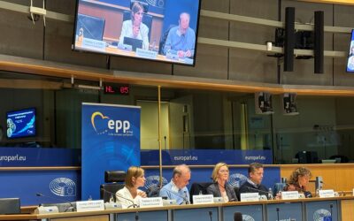 European study seminar on blended families