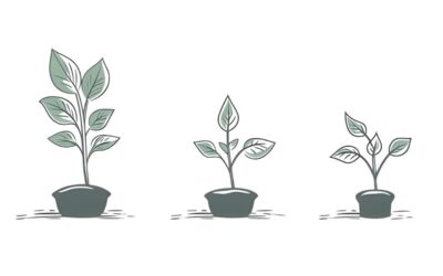 COFACE member NPSPD Malta closes psychosocial support group for individuals and prepares new chapter for couples